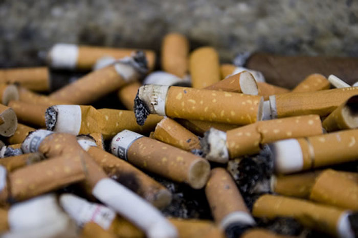 do cigarette butts decompose