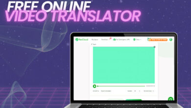 Online Video Translator